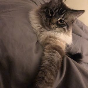 Meet your Posher, Sophia